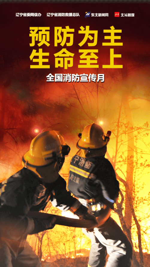 海报 | 预防为主 生命至上——全国消防宣传月