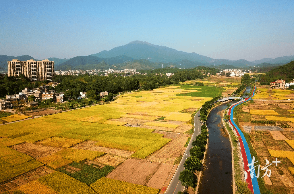 变成"镇上最懂种花生的人" | 云浮青春合伙人·第二季_吴月群_富林镇