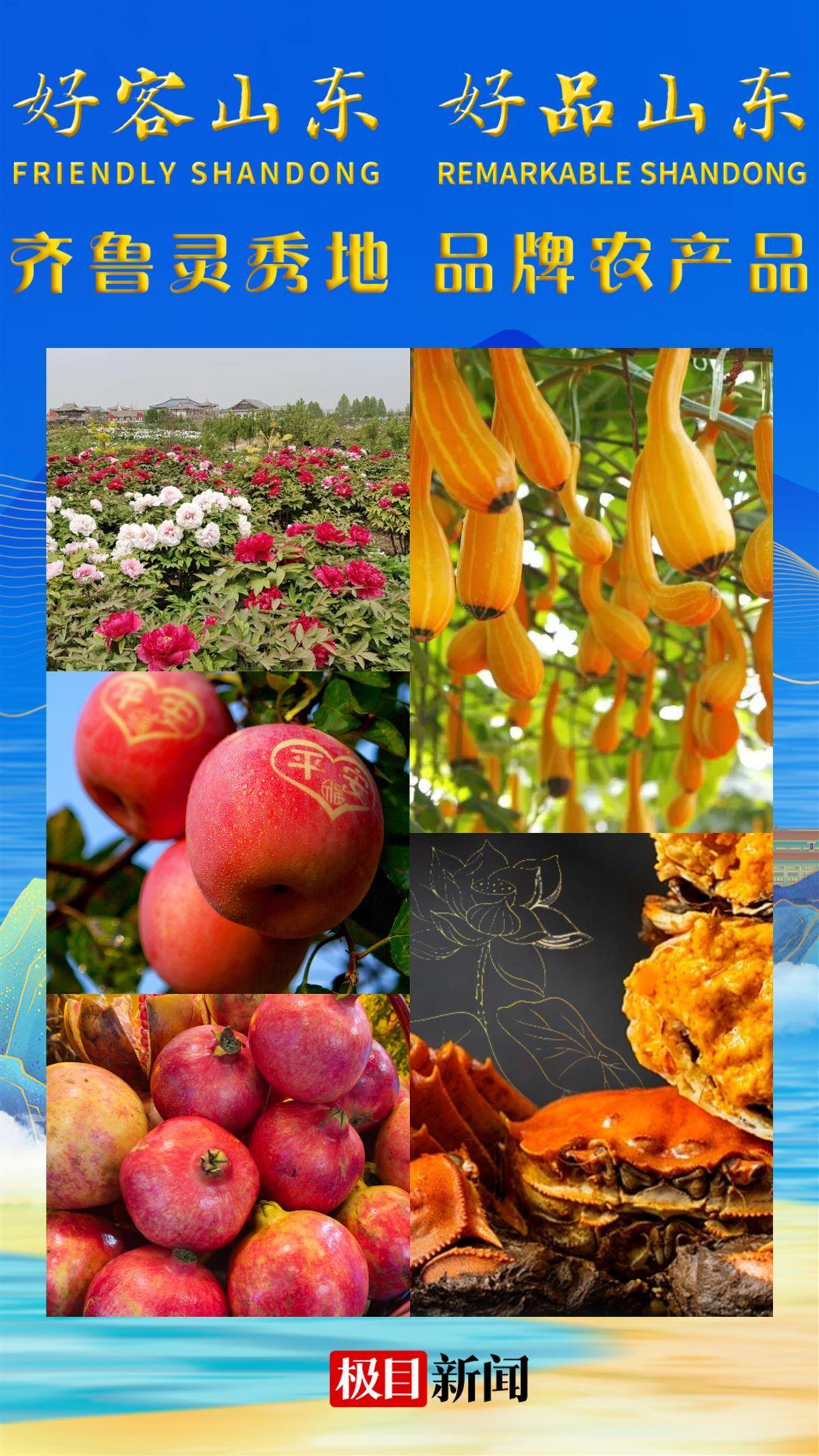 寿光蔬菜,金乡大蒜,章丘大葱,胶州大白菜,潍县萝卜,沾化冬枣,青州银瓜