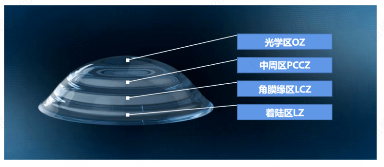 角膜高倍镜图片