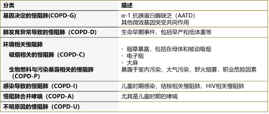 慢阻肺的病因图片