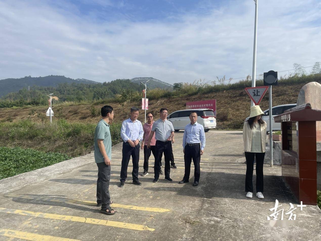 调研组与丰顺县县长罗达祥围绕当地文旅资源,深入交流探讨酒店业合作