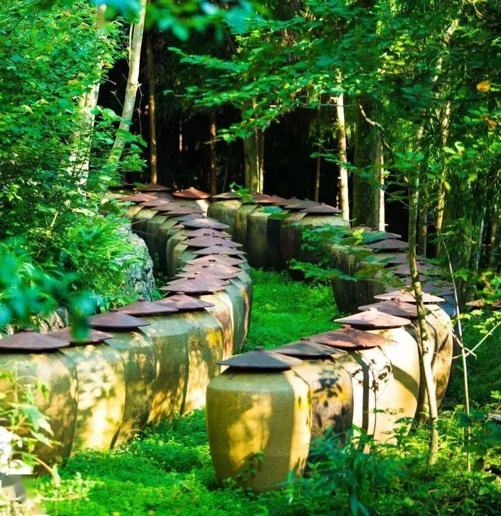 我市天府现代种业园,源窝子酒庄