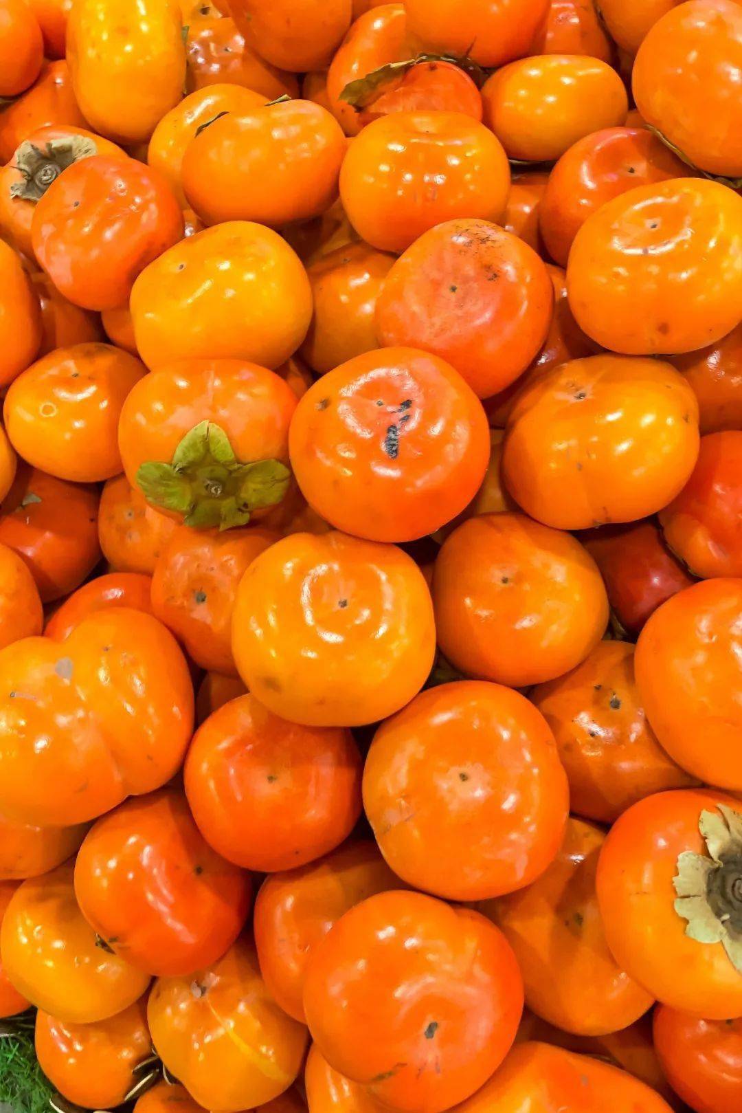 秋天幸福感最强的水果,甜了中国人10000年_柿子_广西_浙江