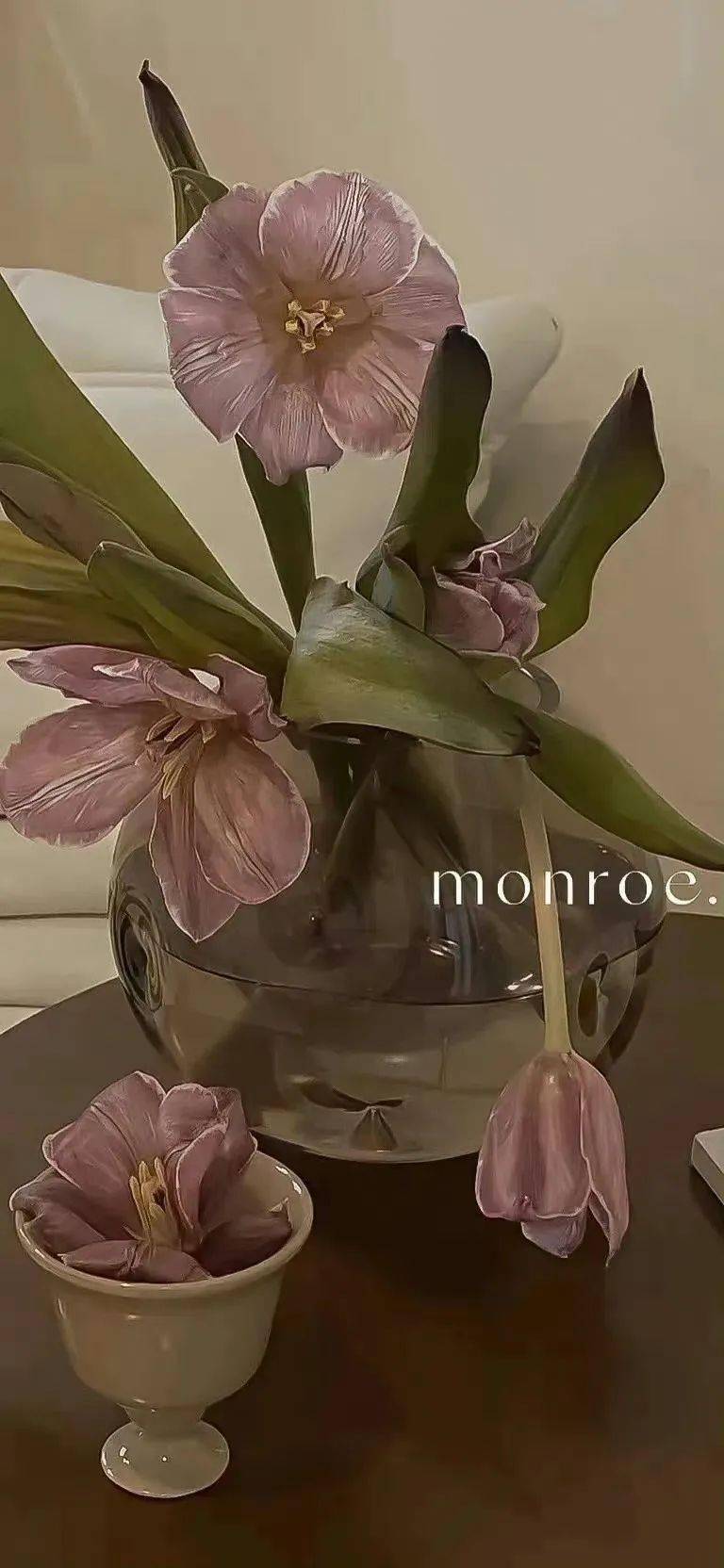 壁纸| 363436373039 ins高级感壁纸_@chen