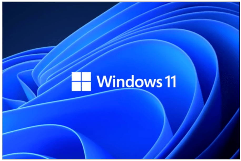 win11"照片"程序新增一键抠图功能_背景_应用_用户