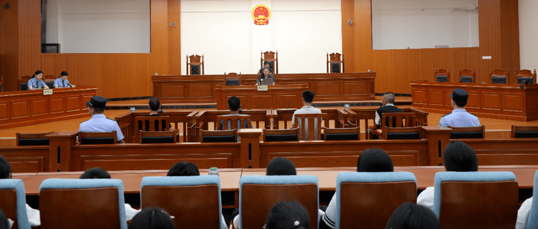 走进法院 | 勐腊法院"公众开放日"集中宣判4起醉驾案件_办案_一体化_