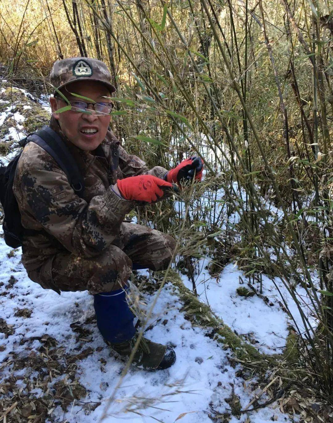 追光·暖新闻丨梁春平:26年如一日 动植物王国的守护者"_巡护_保护区