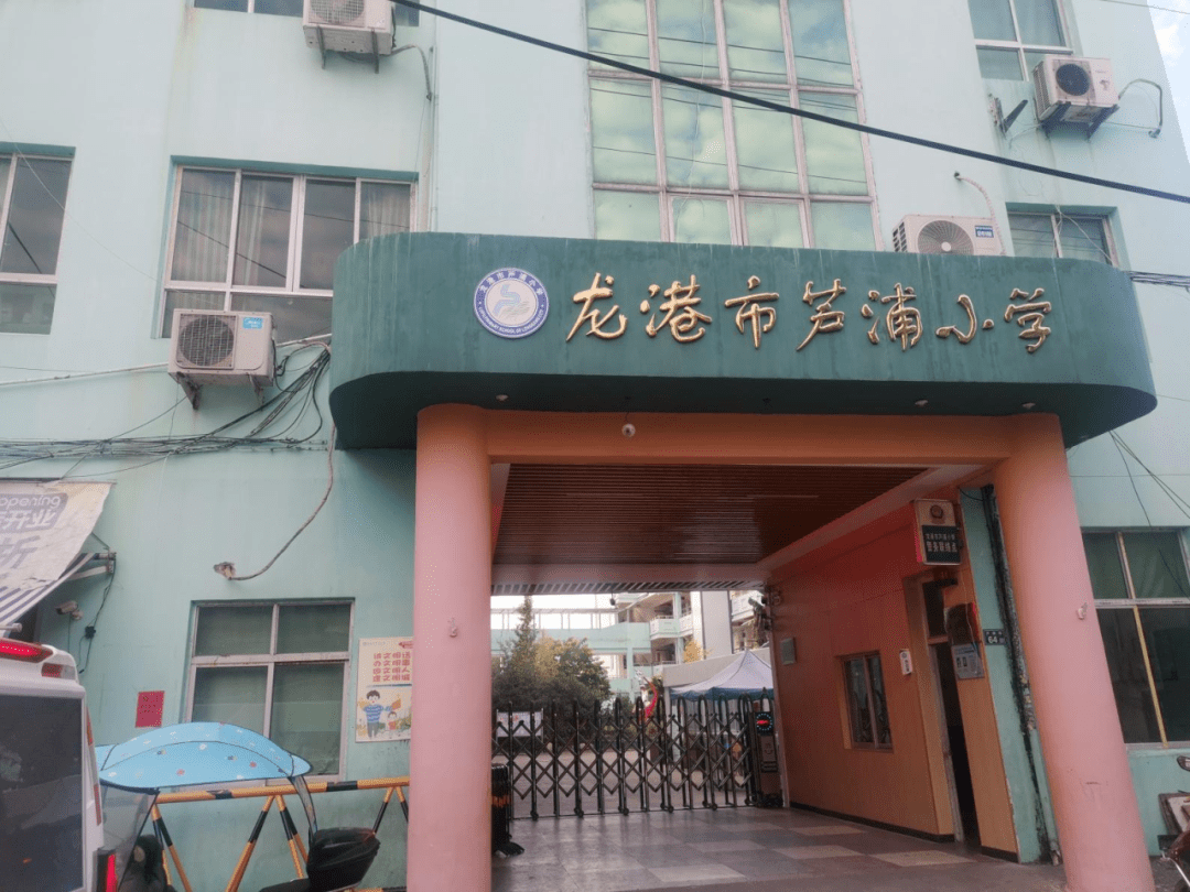 龙港第十小学图片