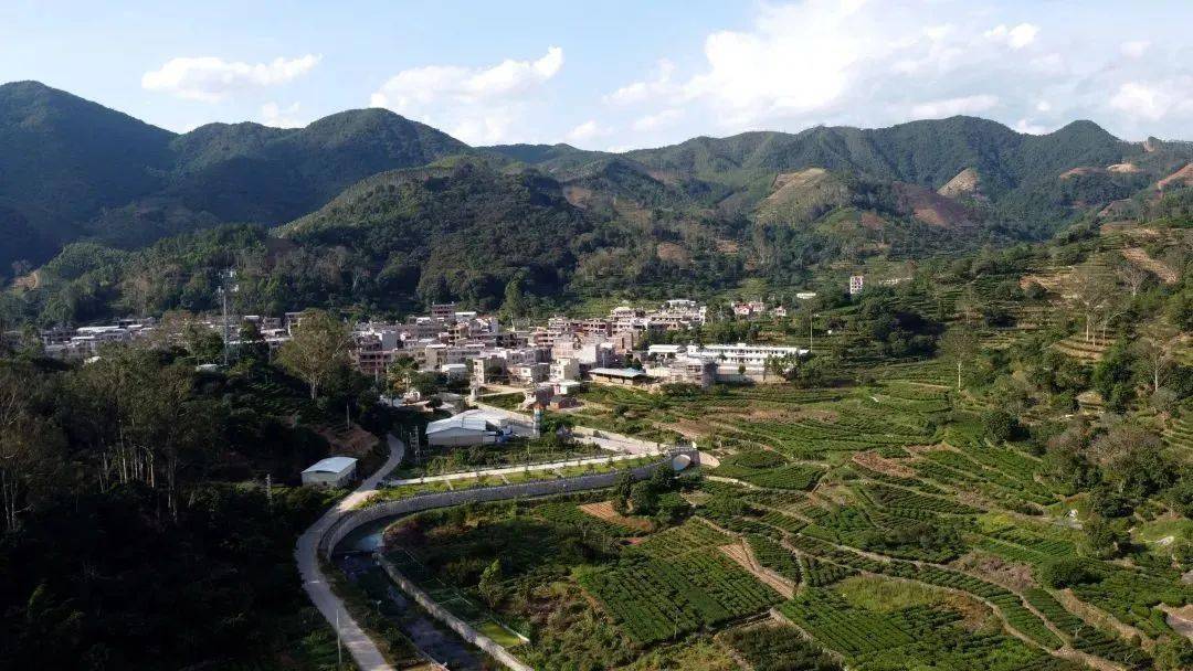 建饶镇进入2023年广东省森林城镇名单榜上有名!_生态_总面积_申报