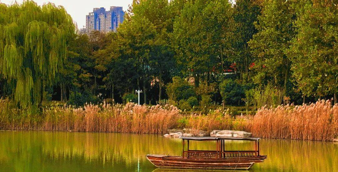 走进初冬的濮阳,半是秋景,半是冬_西湖公园_autumn_of