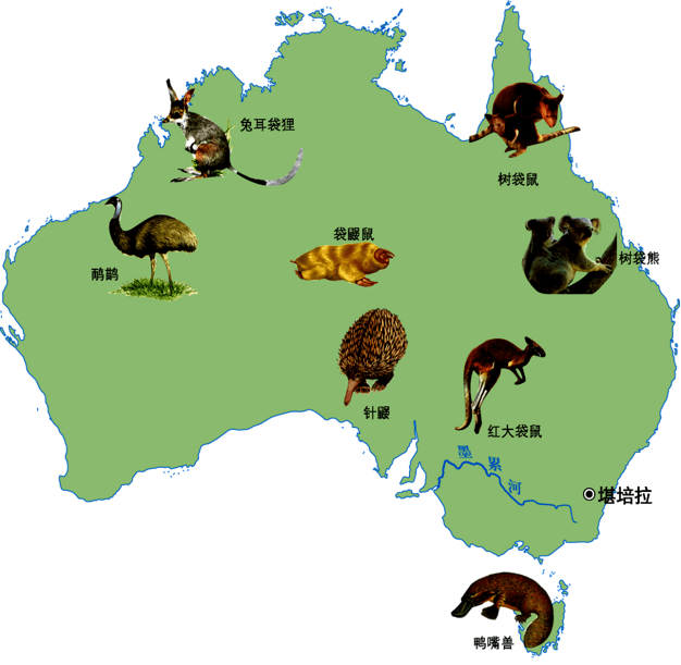 【区域地理】高中地理重要区域地图+知识梳理，高中地理区域地理知识终极总结！赶紧收藏！