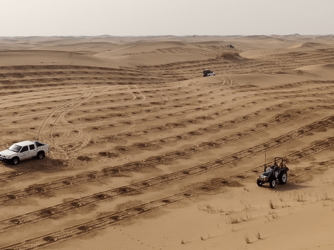 【工作动态】阿左旗对退化草原治理项目人工种草秋季补植补造工作进行