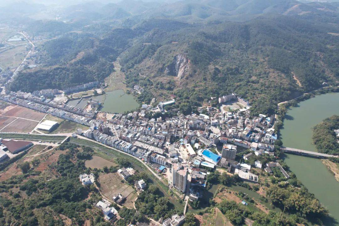 聚焦"百县千镇万村高质量发展工程"丨郁南县宋桂镇:绿了山头 富了百姓