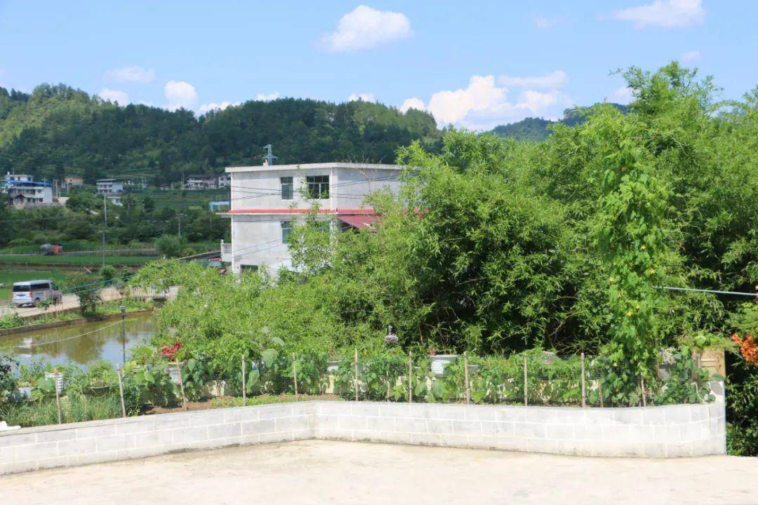 黄平县新州镇:建设宜居美丽乡村 绘就村民幸福底色_花卉_太翁_发展