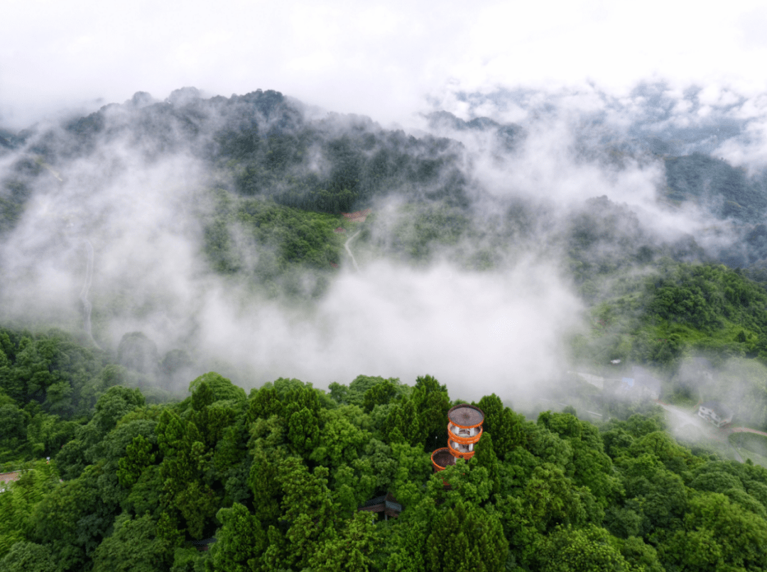 达州6家4a景区为这些人免费!戳进来看→_旅游_文化_五峰