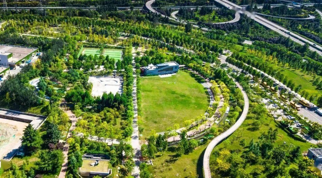 初冬park walk丨解锁不一young的城市公园_青年_曲江_运动