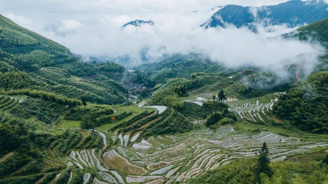 长寿之乡浙江丽水:云和梯田,"中国旅游奥斯卡"金奖!_投资_景区_刘丽莉