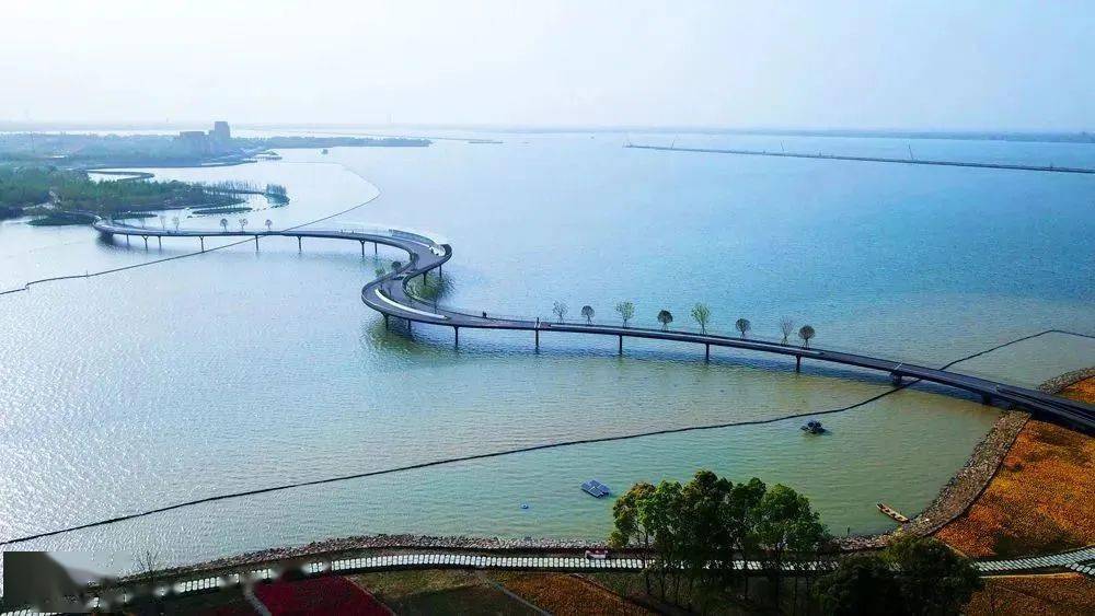 簰洲湾长江大桥规划图图片