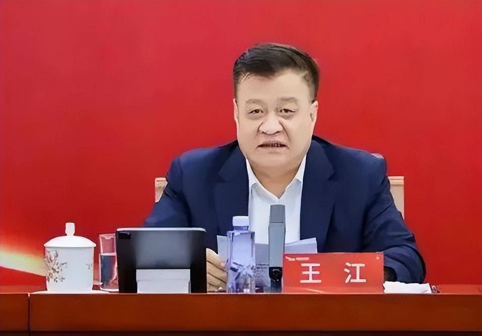 副部级吴利军,将接棒光大银行董事长_王江_工作_显示