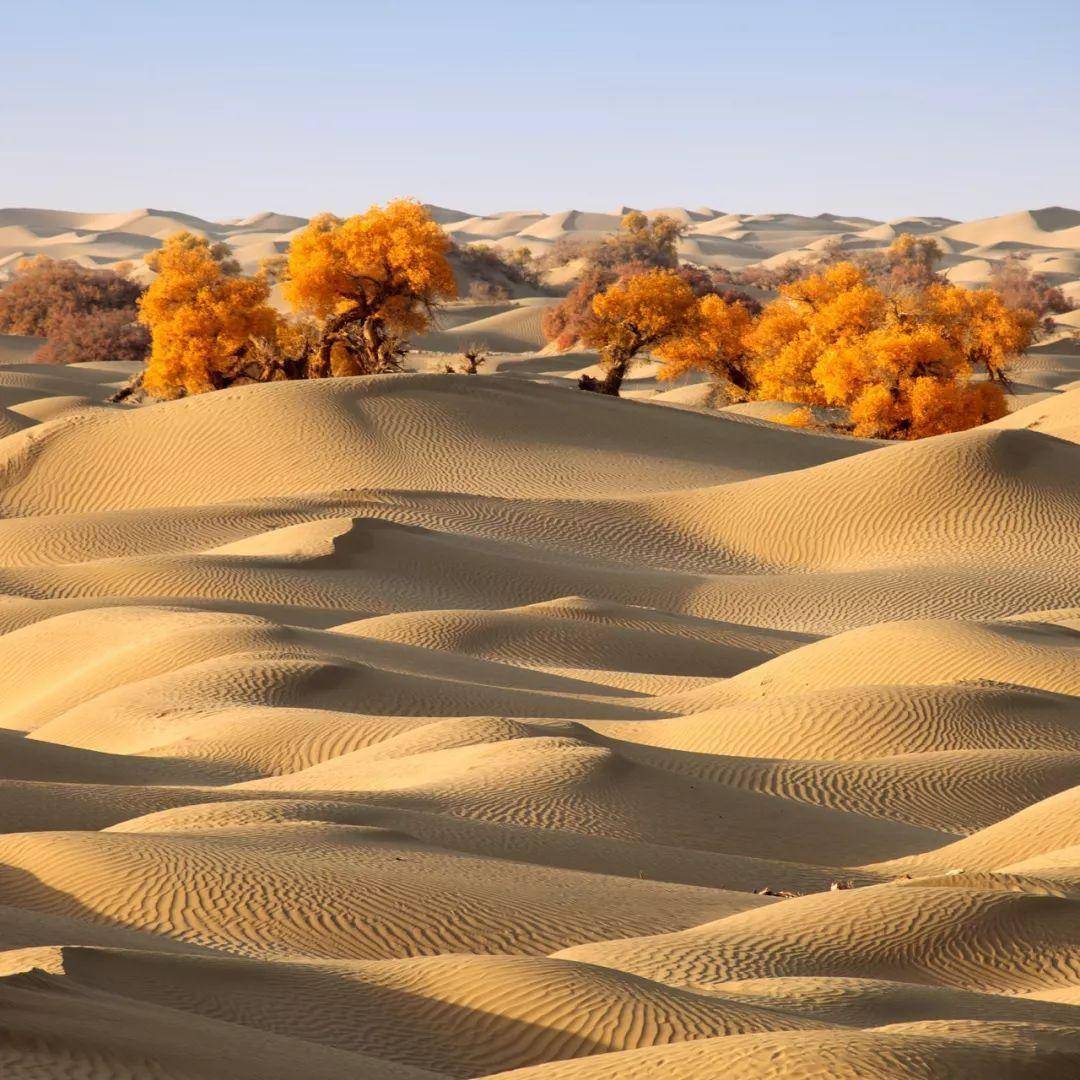 喀纳斯,罗布泊,安集海,库车.