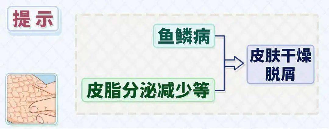 危害指數 ★★★易感指數 ★★③ 冬季易發皮膚病第三名:魚鱗病皰疹的