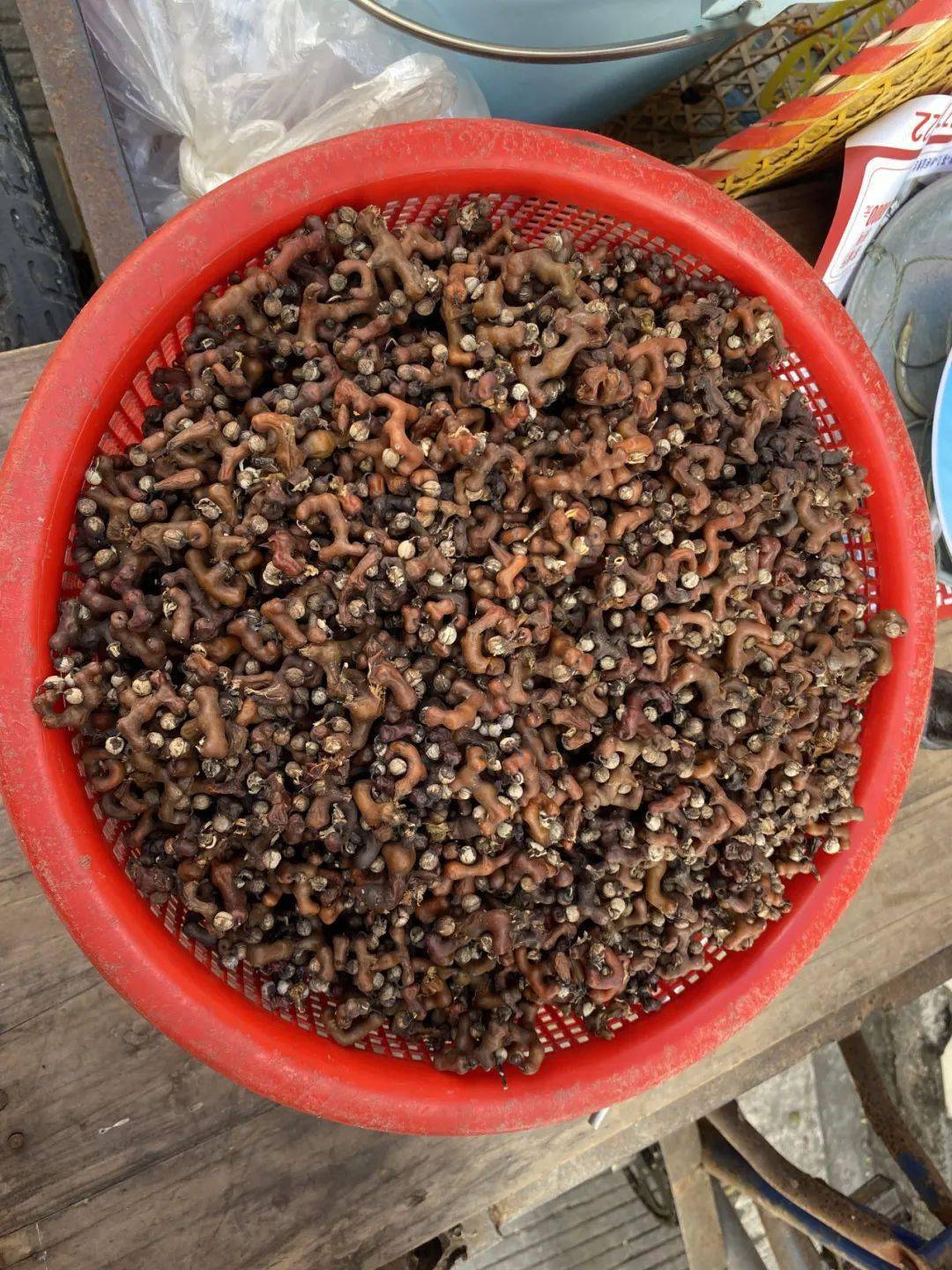 据了解,拐枣的学名叫枳椇(zhǐ jǔ ),也叫毕酒子,万寿果,桔扭子等.