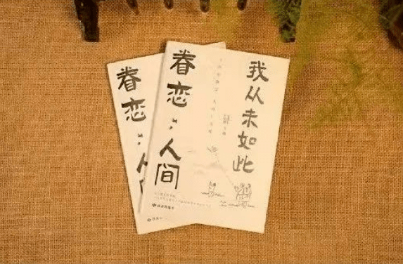 把深情写入文字《我从未如此眷恋人间》人生真正的幸福,都在这本书里