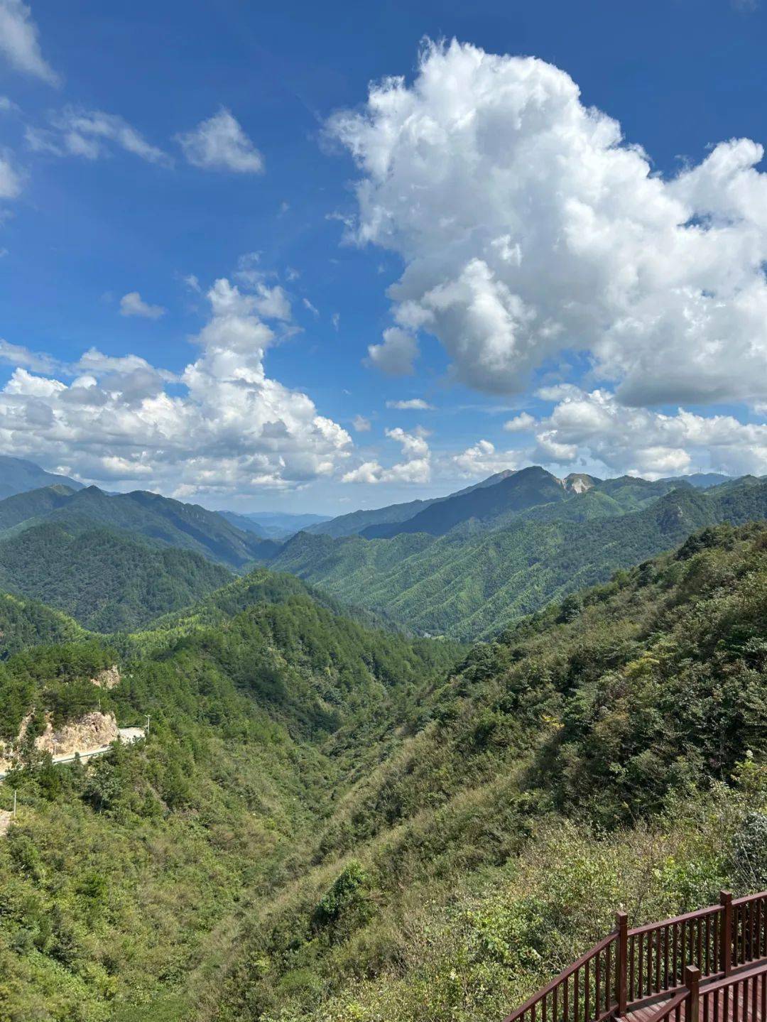 郴州桂东:这个湖南夏天最凉爽的地方,冬季更绝_候鸟_老代_鸟儿