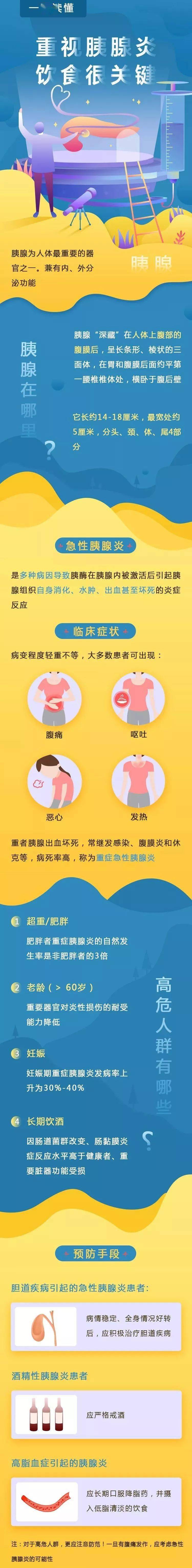 胰腺是起什么作用图片