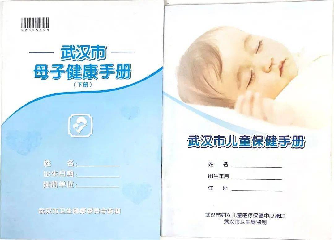 推荐书目:《武汉市母子健康手册》《武汉市儿童保健手册》内容简介:本