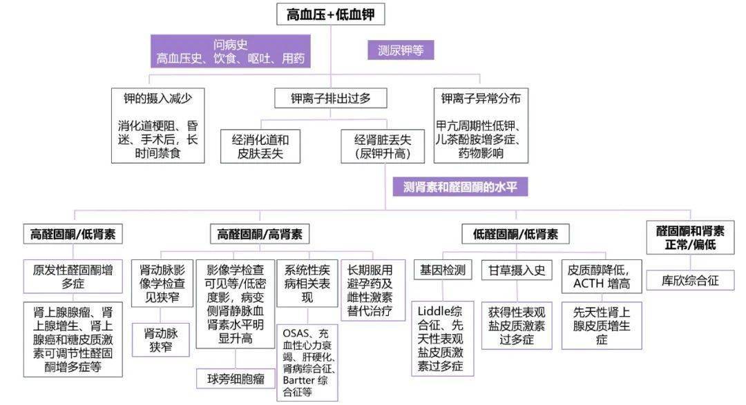 診斷_疾病_患者