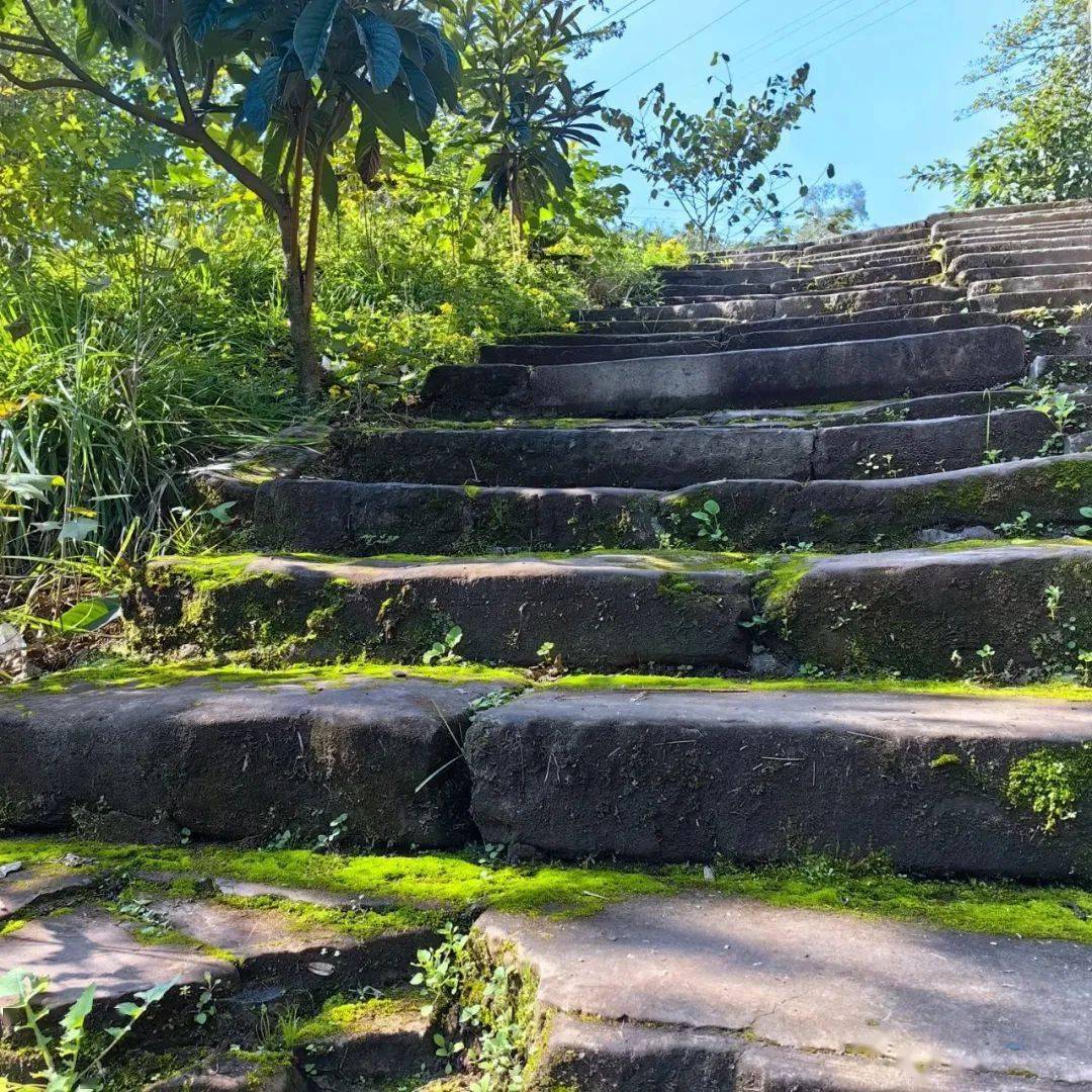 【历史文化】南充西山牌坊湾巴蜀古道遗迹‖李万斌_陈寿_崖壁_川北