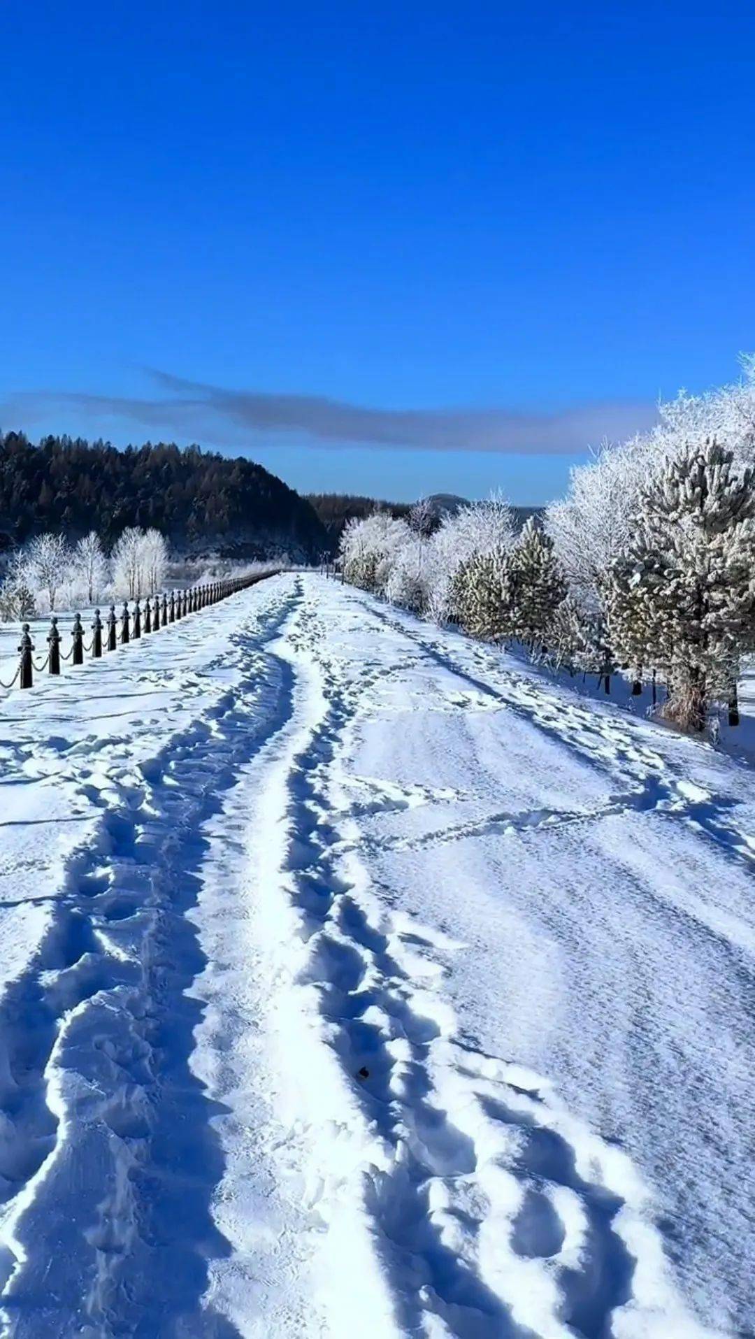 大熊山雪景雾凇图片图片