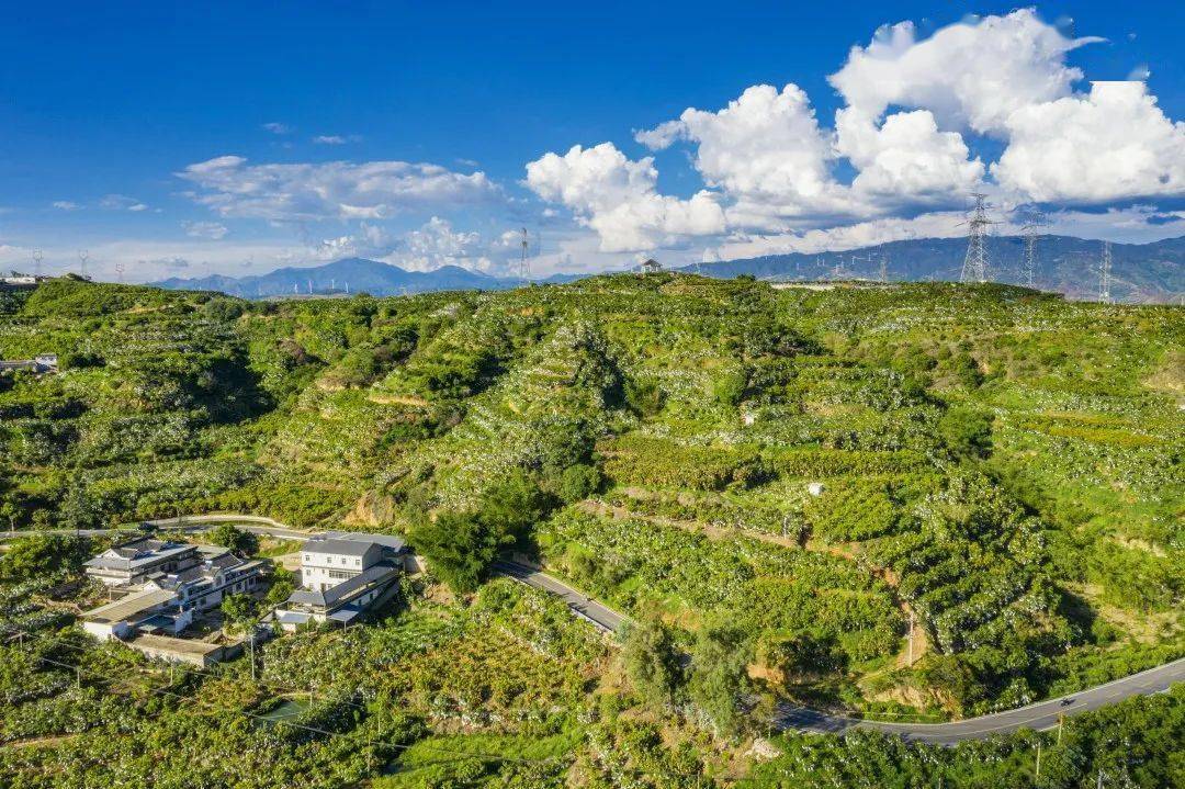 部办公厅联合发布首批国家农业产业强镇认定名单,仁和区大龙潭彝族乡