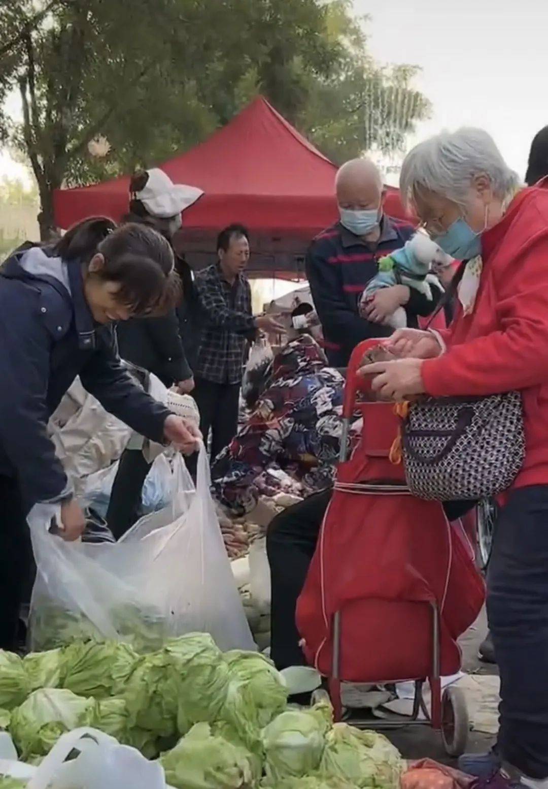 北京平房东口站女图片