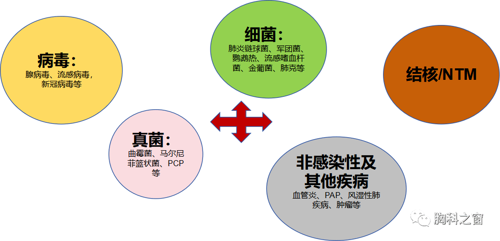 肺炎支原體肺炎的診斷與治療_患者_細胞壁_肺泡