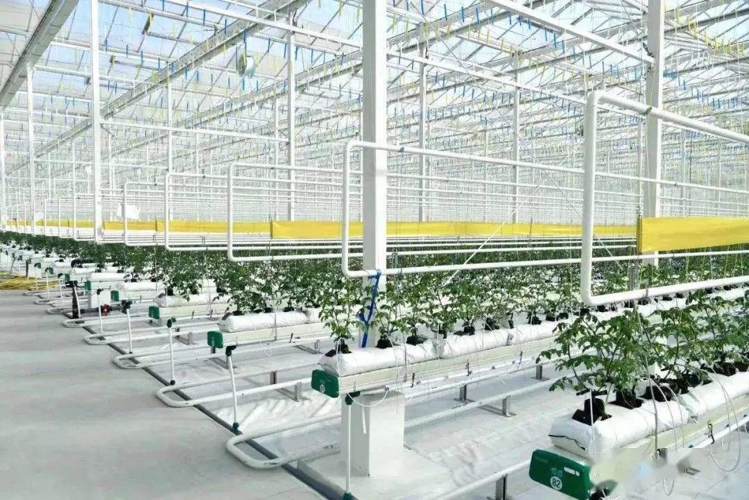 【活动招募】走进天空农场,感受现代农业一日研学_芦丁鸡_智能_种植