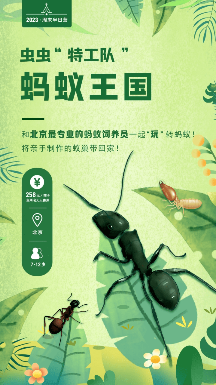 蚂蚁王国 |和北京最专业的蚂蚁饲养员一起"玩"转蚂蚁,将亲手制作的
