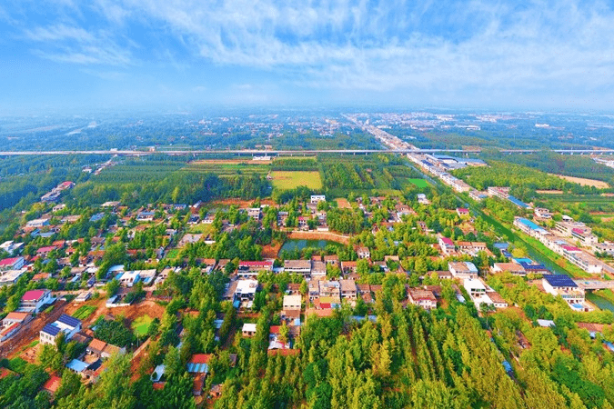 扎根沃土,留下最美的风景——记江苏省委驻新沂市乡村振兴工作队_资金