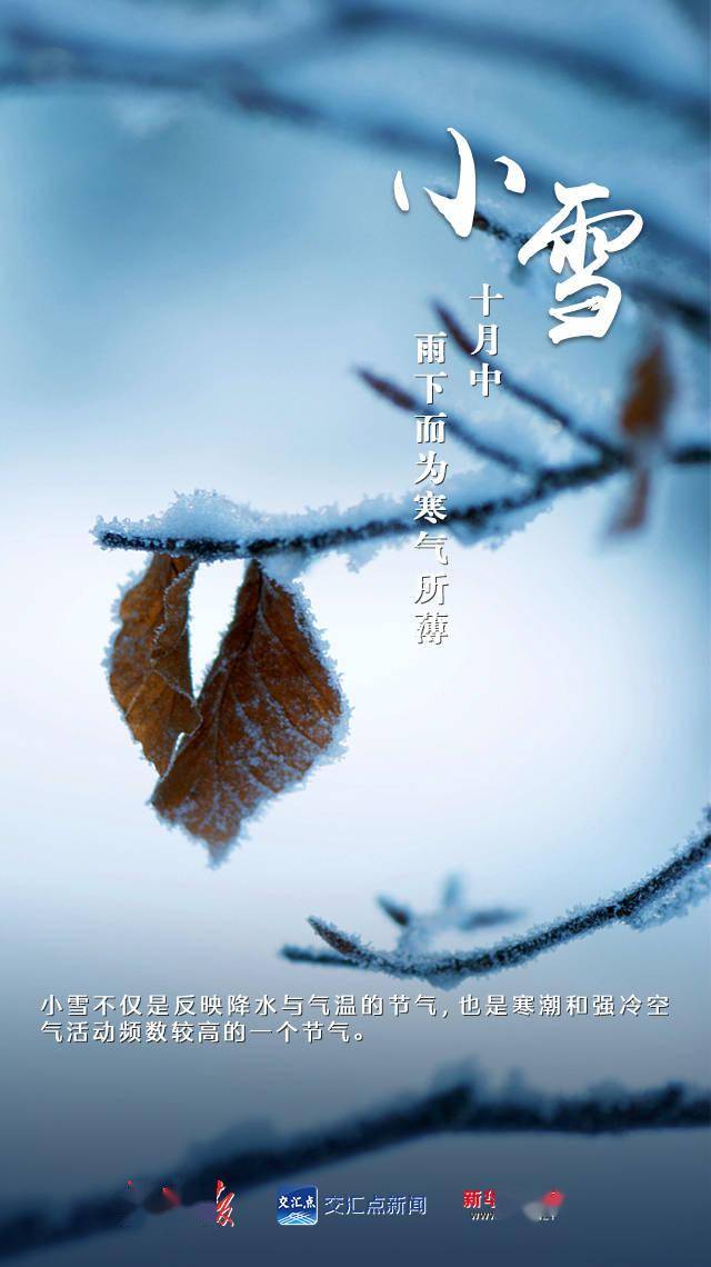 今日,小雪!_时节_纪树霞_交汇点