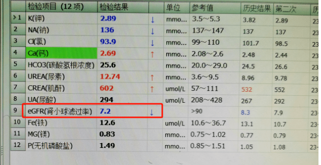 8 種尿液管型的鑑別與分析思路,看完你一定會收藏!_細胞_顆粒_患者