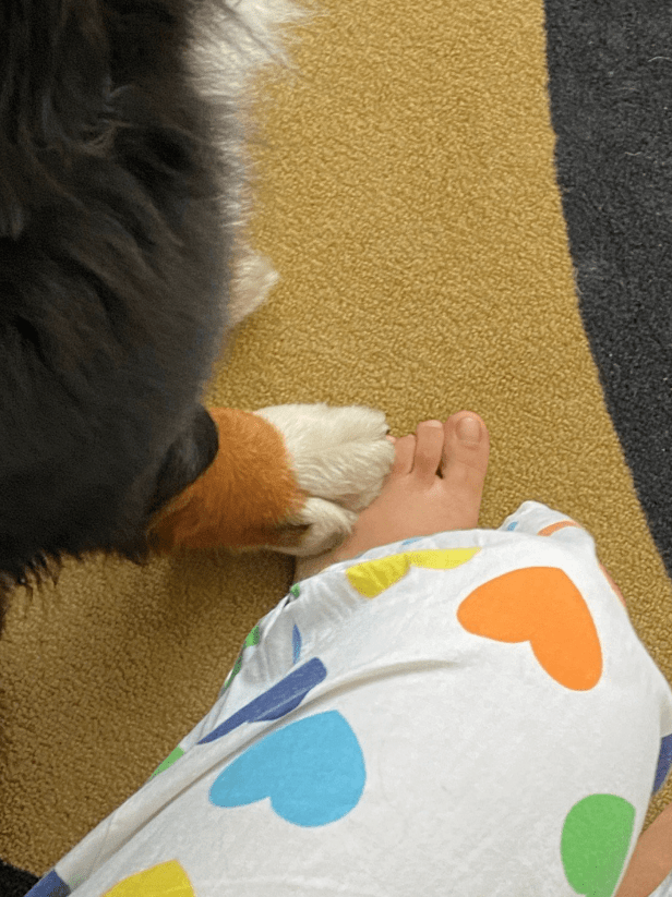 被80斤的大狗踩一脚是什么体验?主人:很快就没逝的啦~_jio_鞋子_带狗