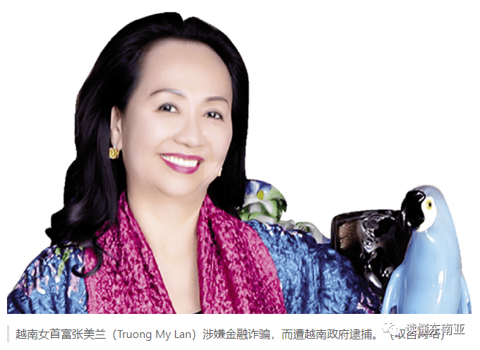 女首富诈骗900亿 占全国gdp的6%_张美兰_越南_调查