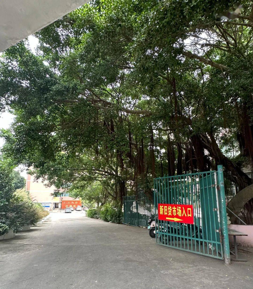 平潭城东,育英,海滨学子集合!