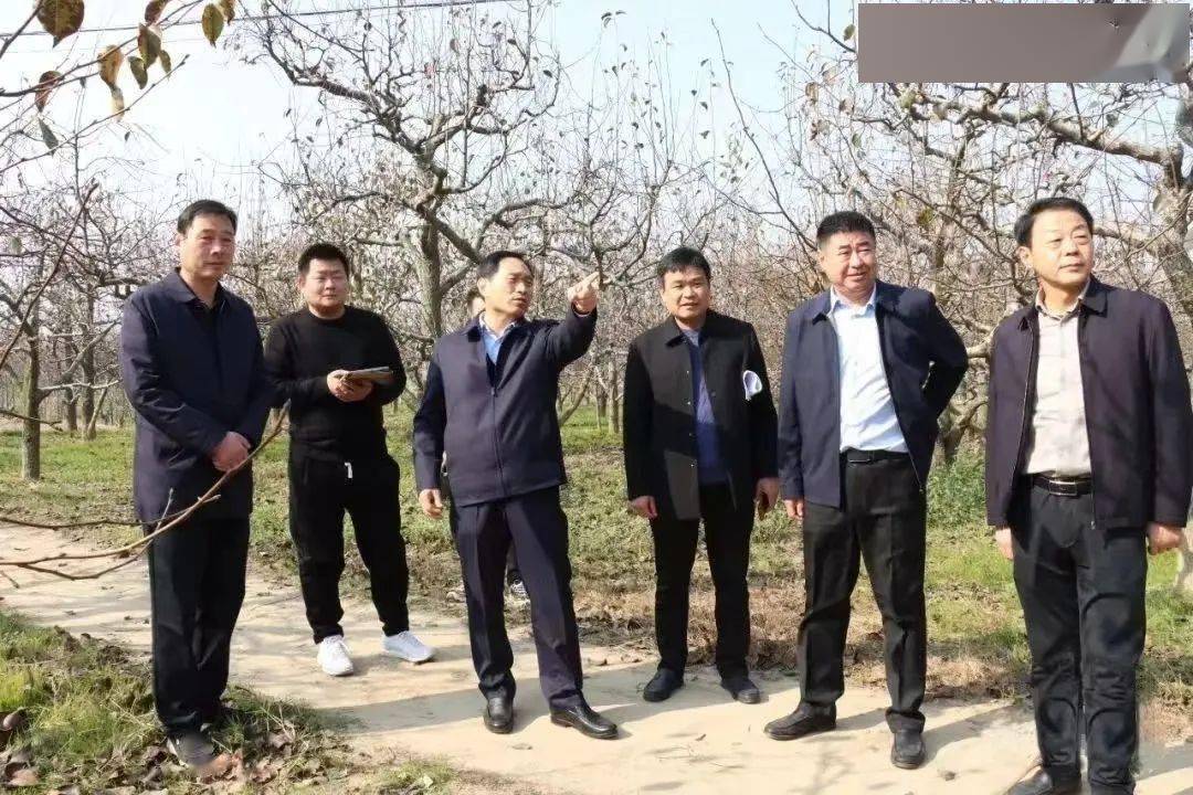 11月20日,宁陵县县委书记蔡勇带队到部分乡镇调研耕地保护工作.
