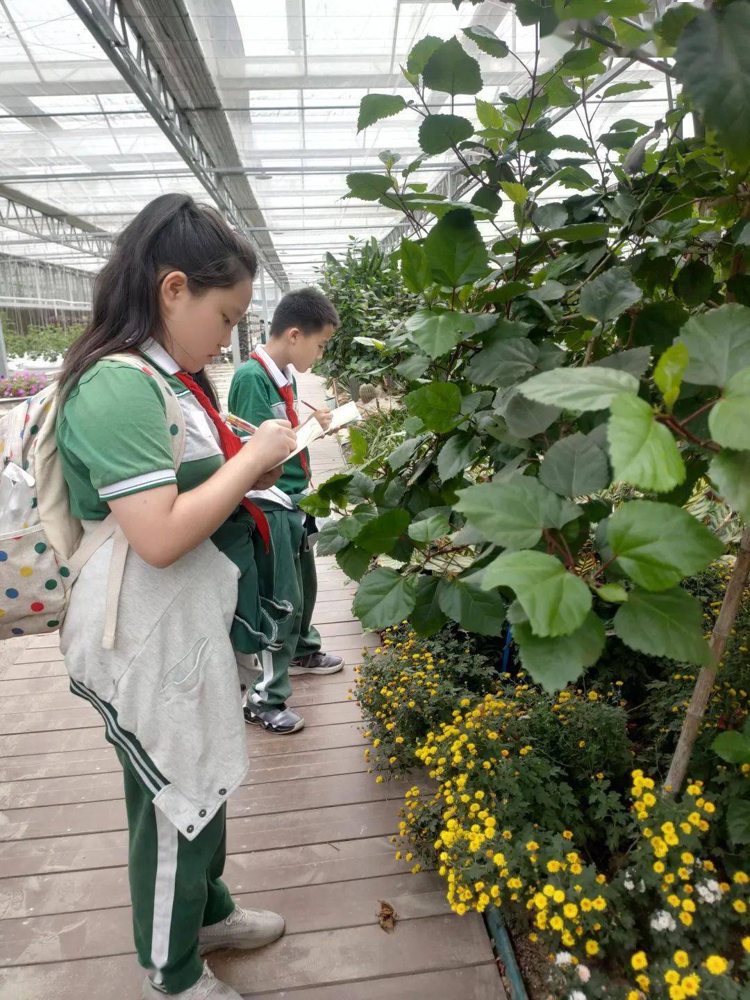 西湖伢兒擁抱美好,快樂同行!_幼兒園_尋找_樹葉