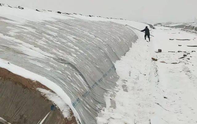 北方溫室或大棚要及時進行通風,降低空氣溼度,通風應在晴天中午進行.