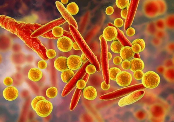 从了解到认识:肺炎支原体感染的刨析与解读