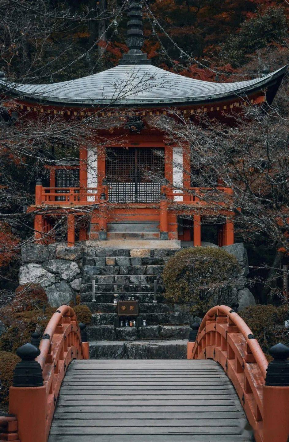 营造视野:日本古京都遗址_清水_贺茂_建筑